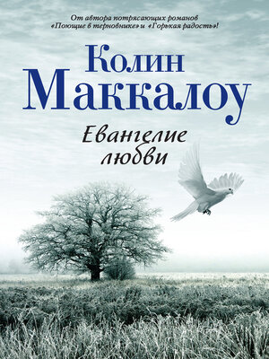 cover image of Евангелие любви